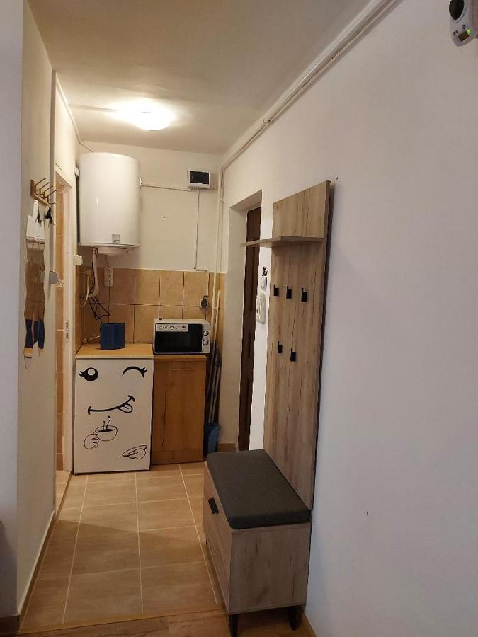 Garsoniera Magda Daire Deva Dış mekan fotoğraf